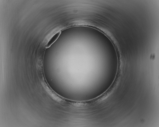 X0000112030897200908031433