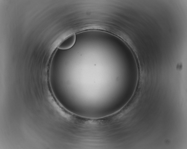 X0000112030898200908031433