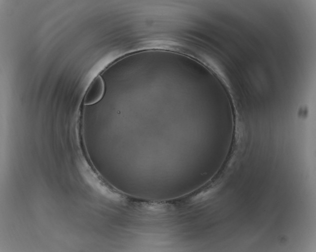 X0000112030899200908031433
