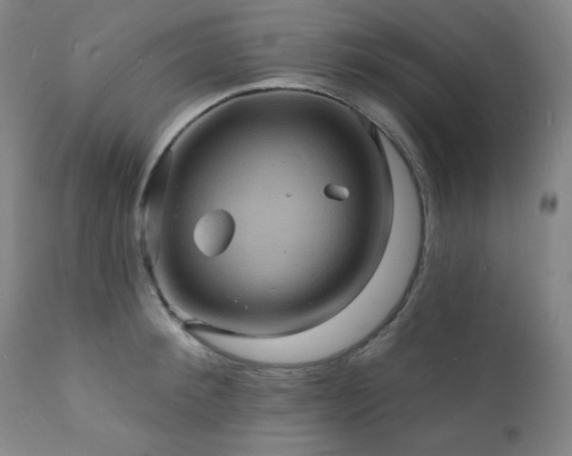 X0000112030900200908031433