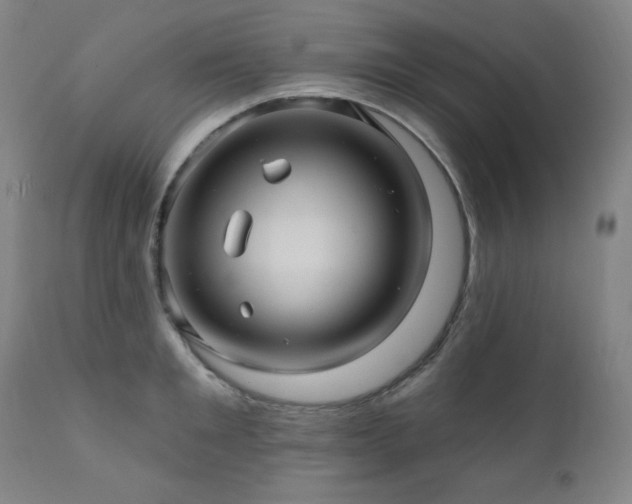 X0000112030901200908031433