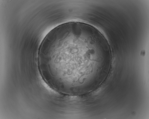 X0000112030903200908031433