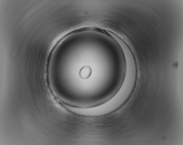 X0000112030904200908031433