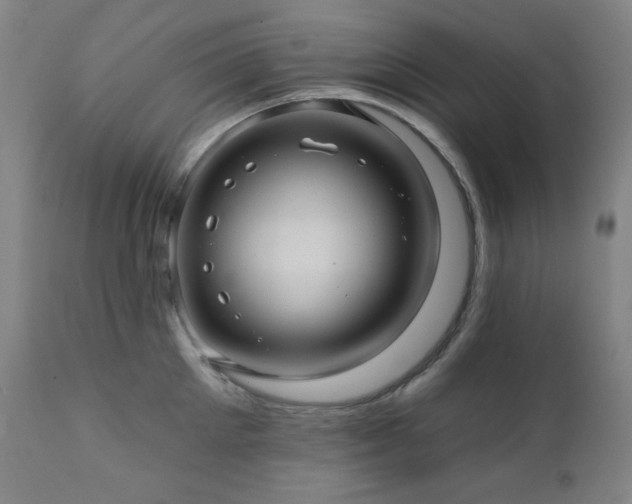X0000112030905200908031433