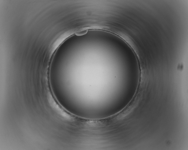 X0000112030906200908031433
