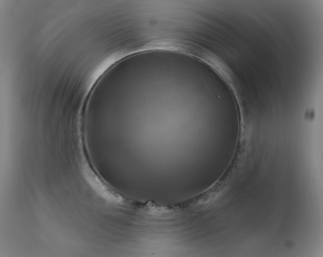 X0000112030907200908031433