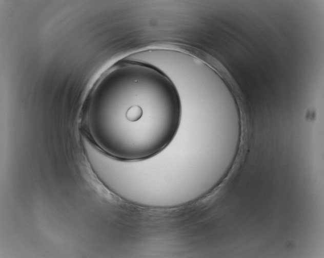 X0000112030908200908031433