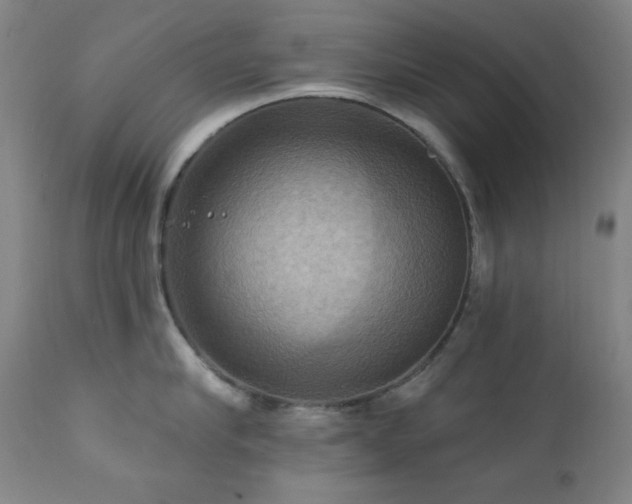 X0000112030910200908031433