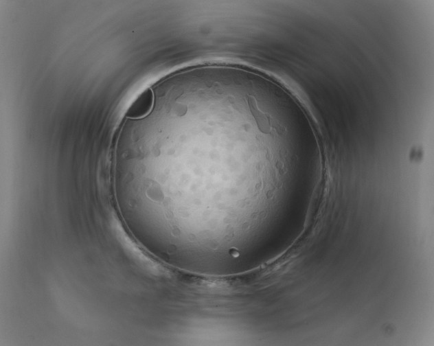 X0000112030911200908031433