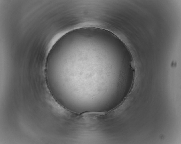 X0000112030912200908031433
