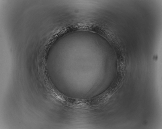 X0000112030913200908031432