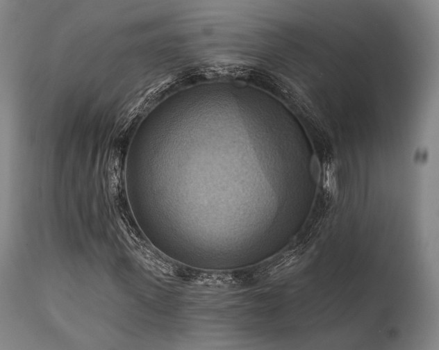 X0000112030915200908031432