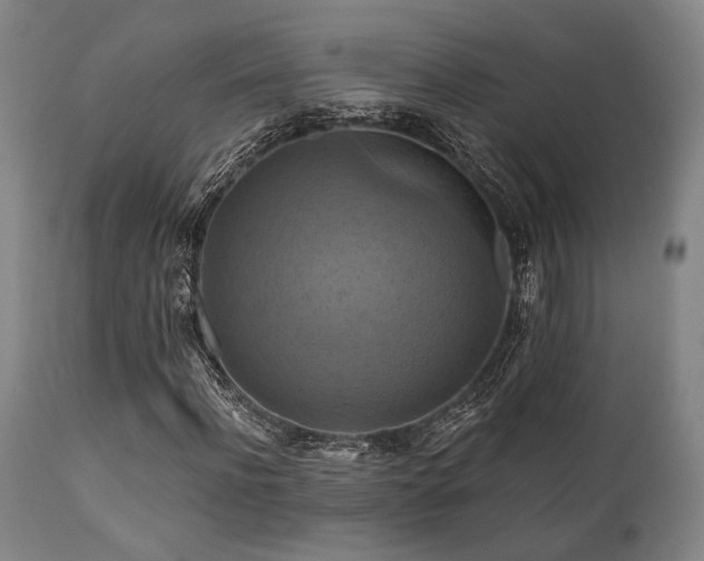 X0000112030916200908031432