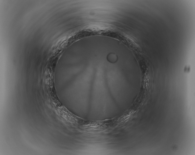 X0000112030917200908031432