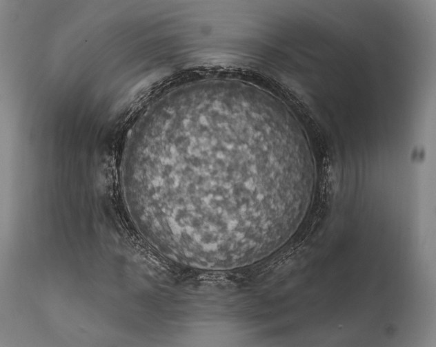 X0000112030918200908031432