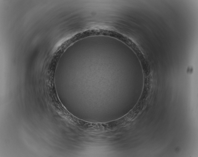 X0000112030919200908031432