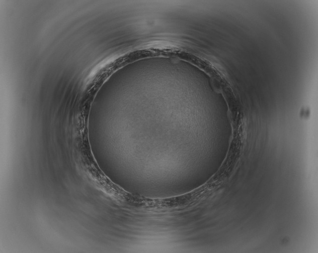 X0000112030920200908031432