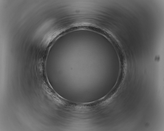 X0000112030921200908031432