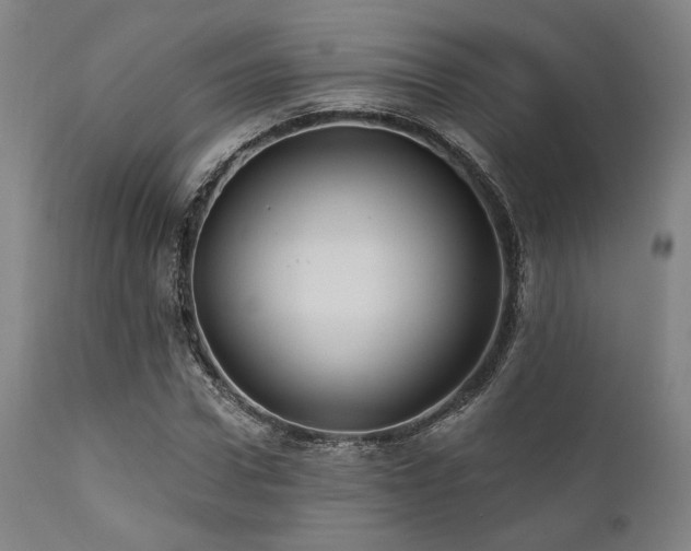 X0000112030922200908031432