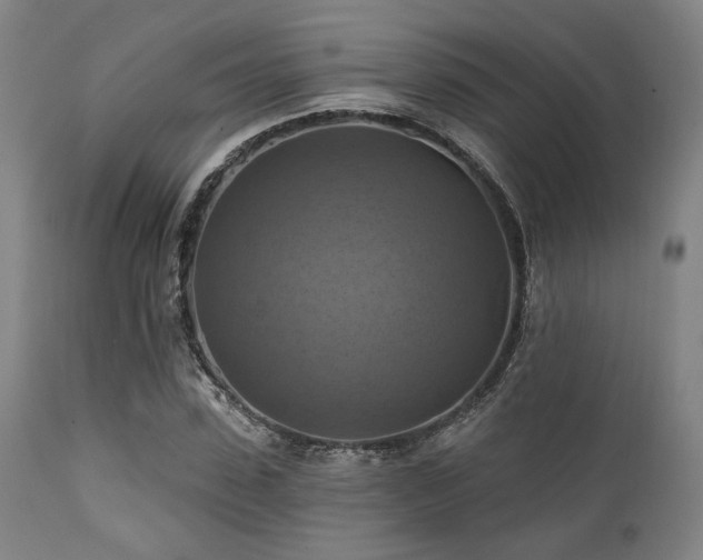 X0000112030923200908031432