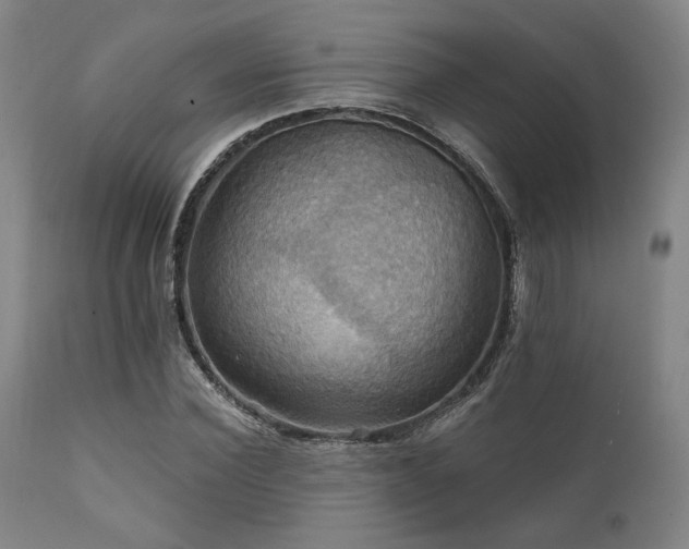 X0000112030924200908031432