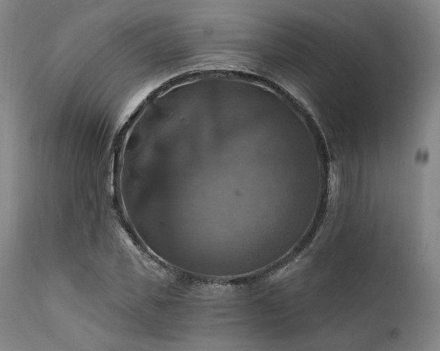 X0000112030925200908031432