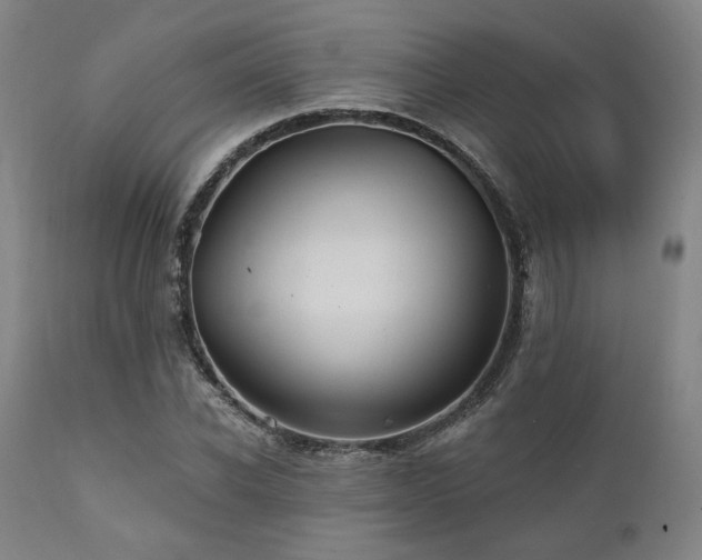 X0000112030926200908031432