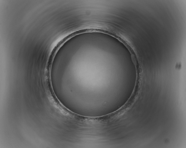 X0000112030928200908031432