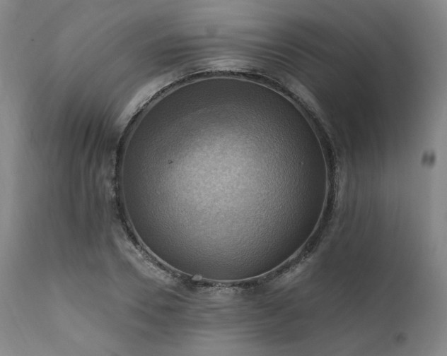 X0000112030930200908031432