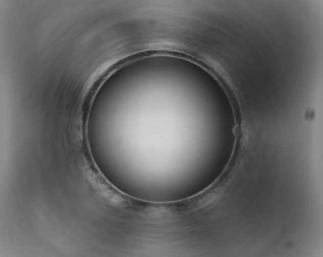 X0000112030931200908031433