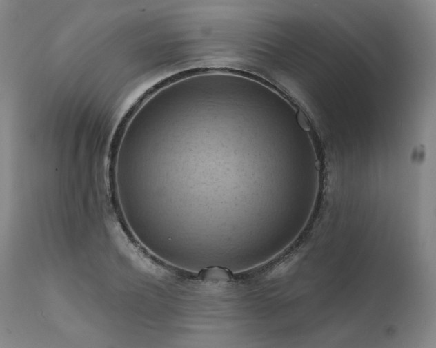 X0000112030932200908031433