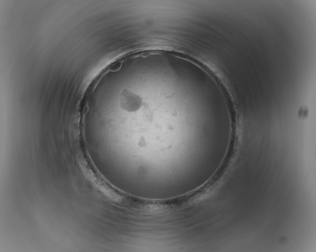 X0000112030933200908031433