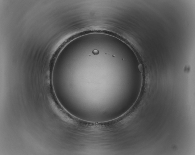 X0000112030934200908031433