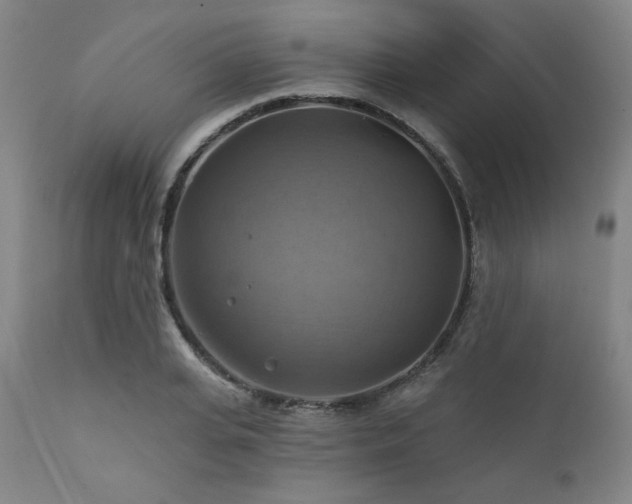 X0000112030935200908031433