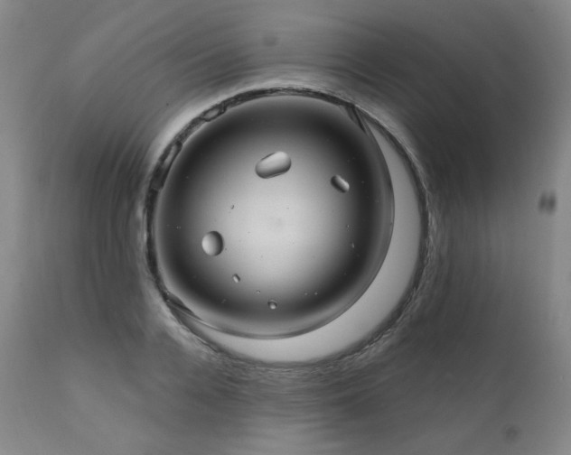 X0000112030936200908031433