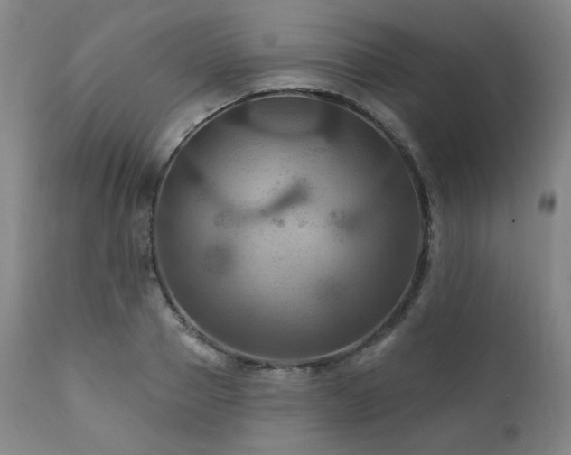 X0000112030937200908031433