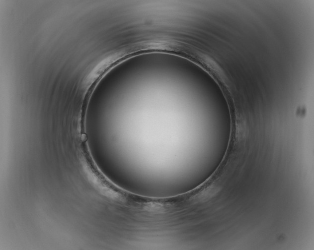 X0000112030938200908031433