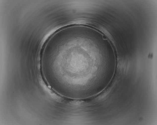 X0000112030939200908031433