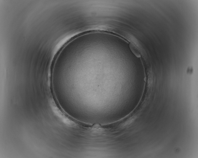 X0000112030940200908031433