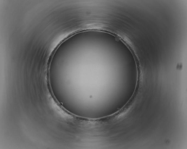 X0000112030941200908031433