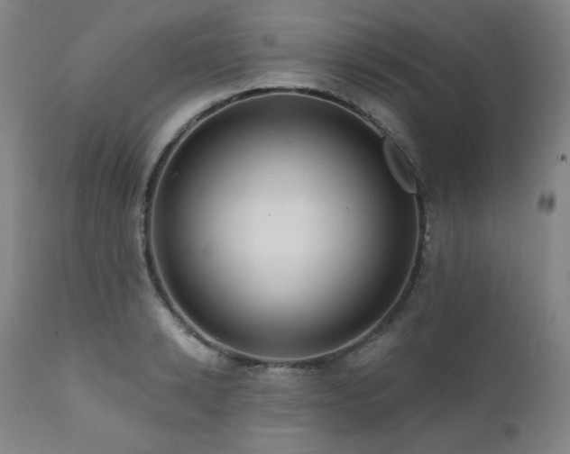 X0000112030942200908031433