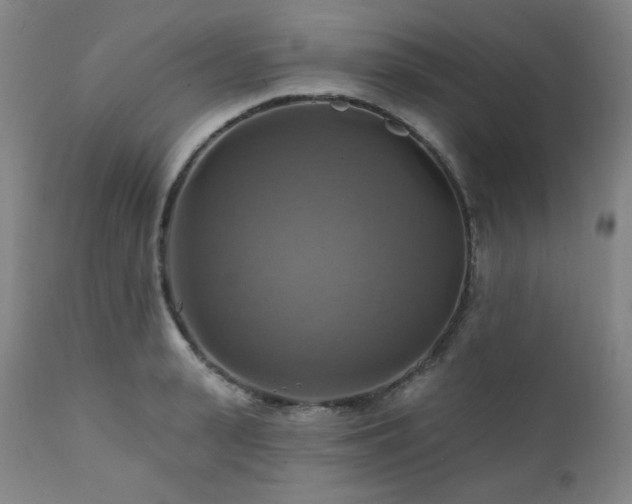 X0000112030943200908031433