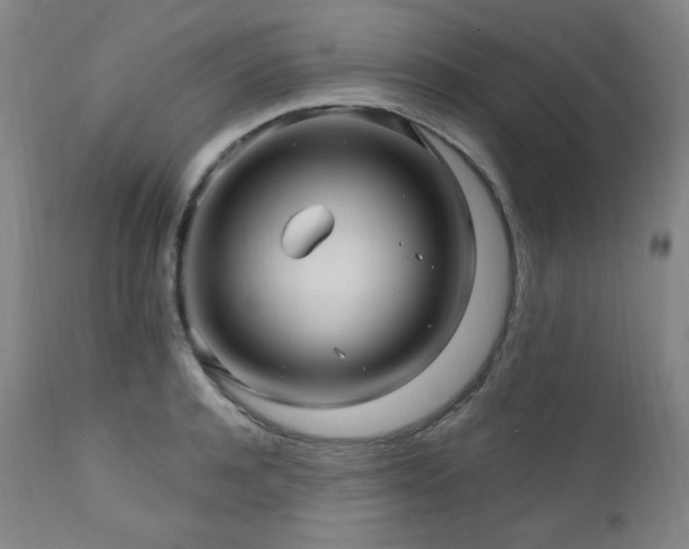 X0000112030944200908031433