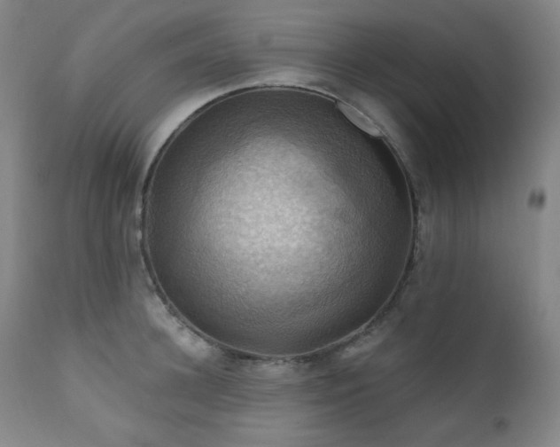 X0000112030948200908031433