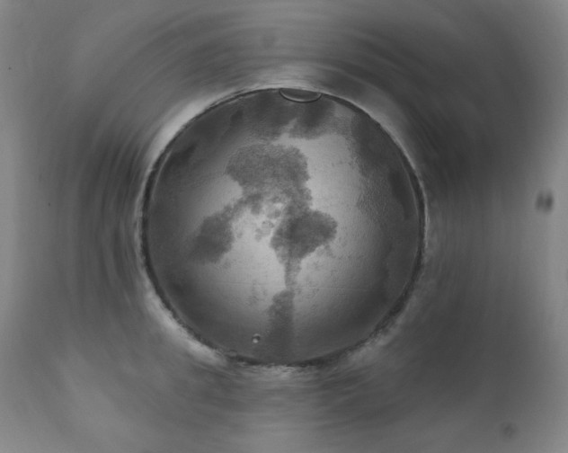 X0000112030949200908031433