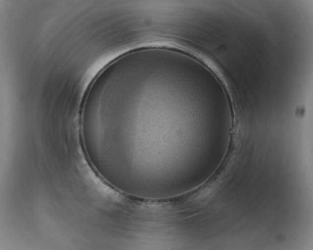 X0000112030951200908031433