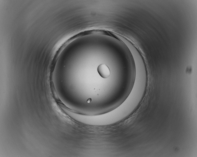 X0000112030952200908031433