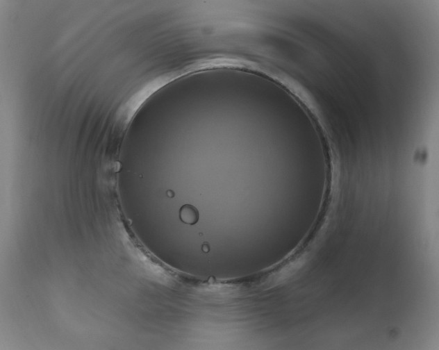X0000112030953200908031433