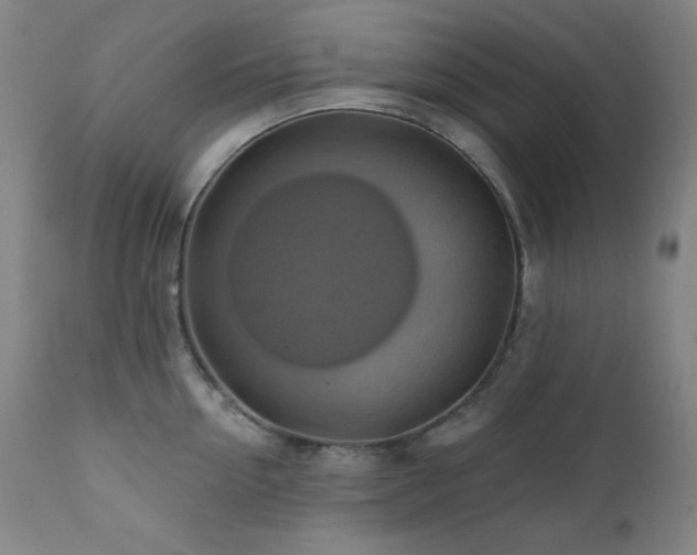 X0000112030954200908031433
