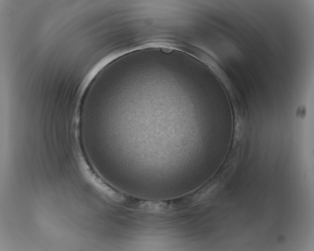 X0000112030955200908031433